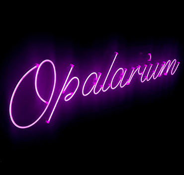Opalarium neon 2